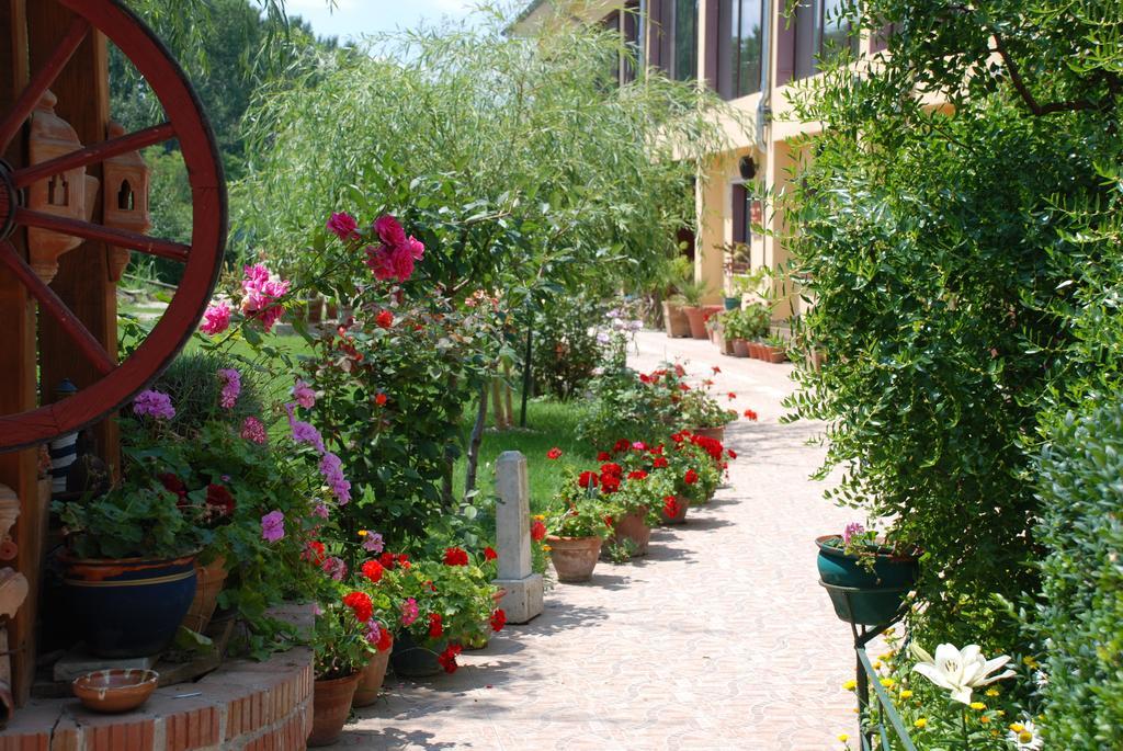 Villa Giulia Islaz ภายนอก รูปภาพ